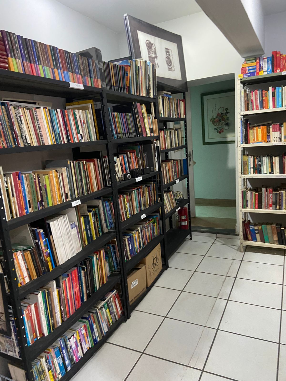 Seção de DVDs e Discos de Vinil